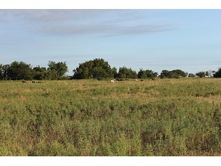 Tract 12 - LAND AUCTION - 440+/- Acres offered in 15 Tracts in Tulsa County